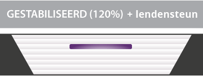 Stabilisatie 120% demping + lendensteun